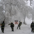Stromy Bystr�-Trp�n 23.12.13