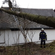 TP - strom na RD Hamry  24.2.20