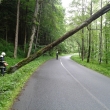 TP - 2.6.2013 v 10.32 hod. strom nad vozovkou Bystr - Hamry