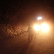 3.12.11 TP Bystr�-Trp�n