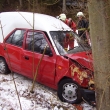 DN 3.1.2013 Bystr - Hamry