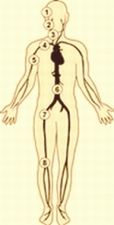 Tlakov body