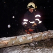 20.1.2010 Strom Nedvz