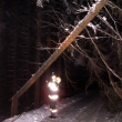 20.1.2010 Strom Nedvz