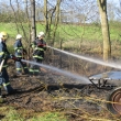 28.4.12 po��r tr�vy Nedv�z�