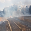 Po��r pole Nyklovice 2.8.18